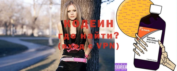 прущие грибы Гусев
