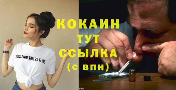 дмт Гусь-Хрустальный