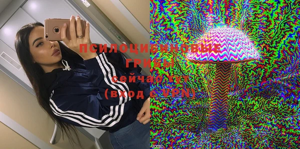 прущие грибы Гусев