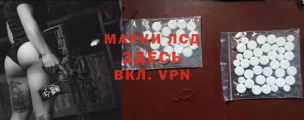 прущие грибы Гусев