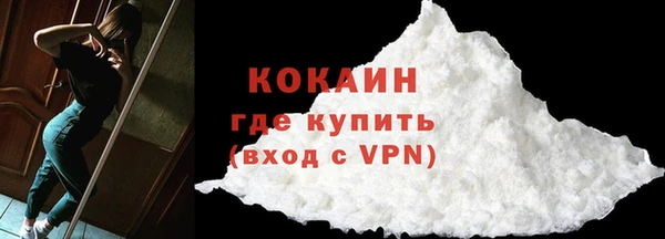 прущие грибы Гусев