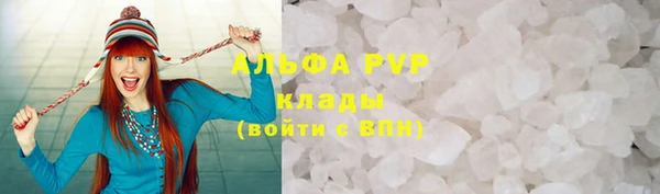 прущие грибы Гусев
