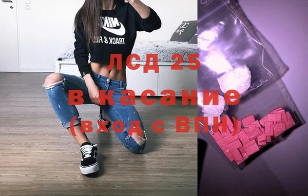 прущие грибы Гусев