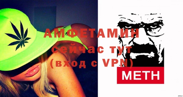 прущие грибы Гусев