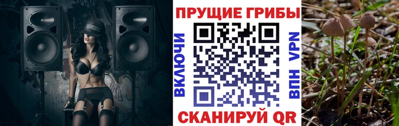 Псилоцибиновые грибы GOLDEN TEACHER Уфа