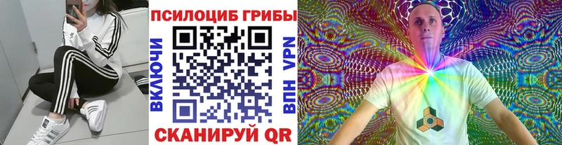 Галлюциногенные грибы прущие грибы  Купить где  Уфа 